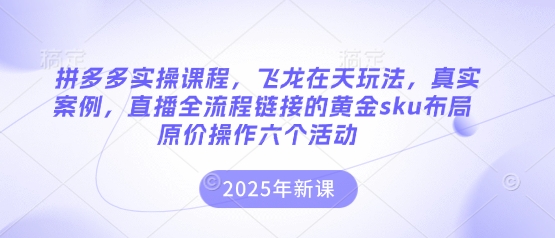 拼多多实操课程，飞龙在天玩法，真实案例，直播全流程链接的黄金sku布局原价操作六个活动-网创联盟