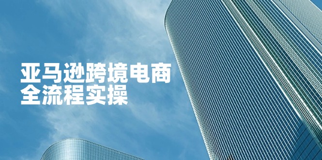 （14252期）亚马逊跨境电商全流程实操，教你从零开始，掌握店铺运营与广告技巧-网创联盟