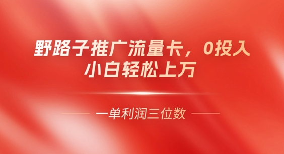 0门槛推广流量卡,一单收益上百,0投入,小白月入过W-网创联盟