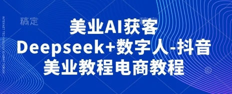 美业AI获客Deepseek+数字人-抖音美业教程电商教程-网创联盟